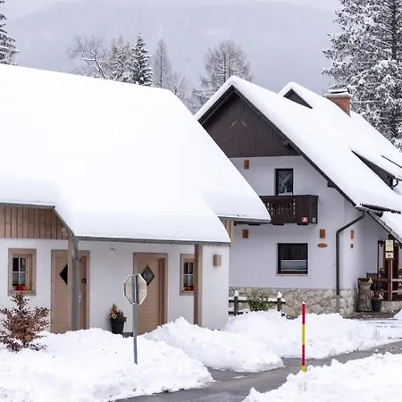 Alp * Bohinj