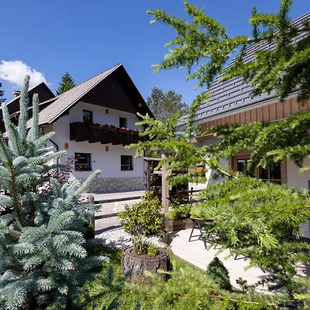 Alp * Bohinj