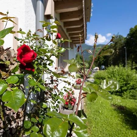 Apartmán Alp *