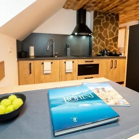 Alp Appartement Bohinj