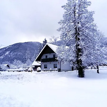 Alp Apartment