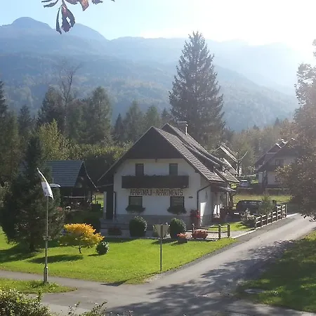 Alp Apartment *