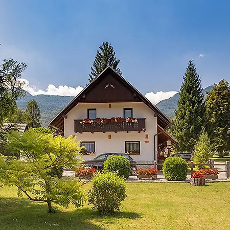 Alp * Bohinj