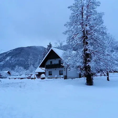 Apartment Alp *