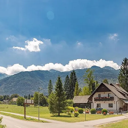 Alp * Bohinj