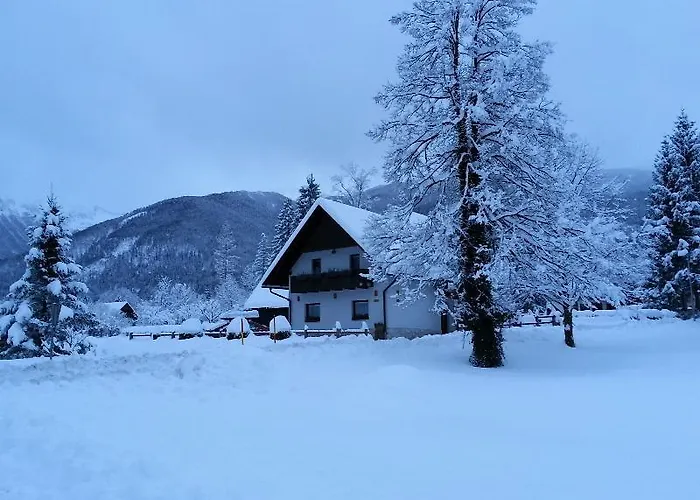 Διαμέρισμα Alp *